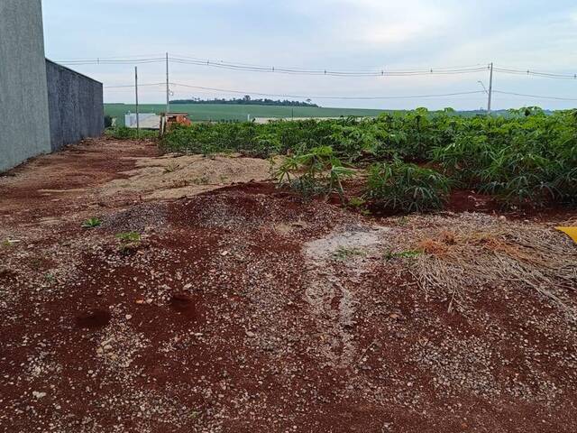 #22 - Terreno para Venda em Toledo - PR