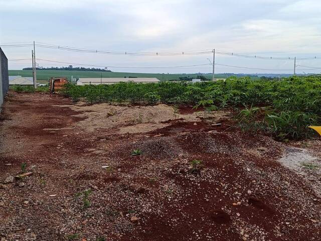 #22 - Terreno para Venda em Toledo - PR - 2