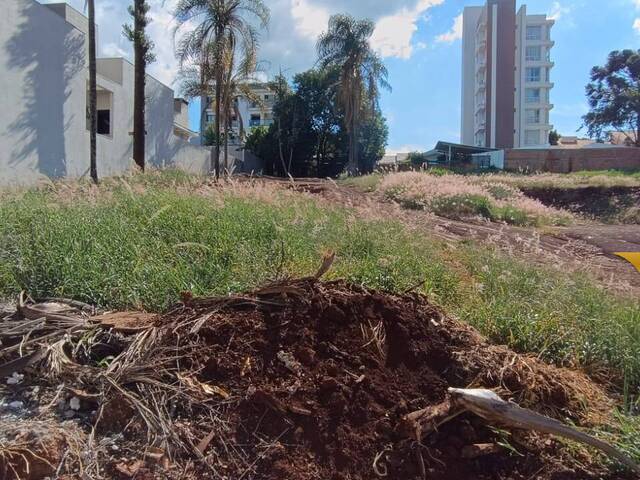 #30 - Área para Venda em Toledo - PR - 2