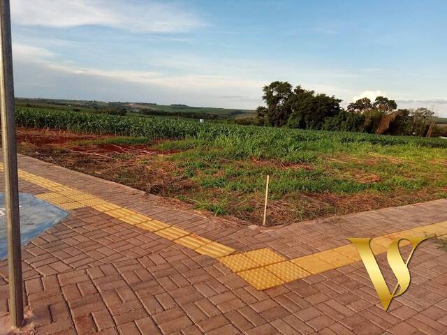 #61 - Terreno para Venda em Toledo - PR - 1