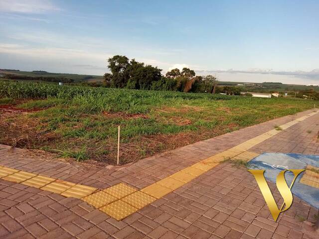 #61 - Terreno para Venda em Toledo - PR - 2